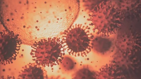 Viren können verschiedene Atemwegserkrankungen auslösen. Nach einer durchgemachten Infektion besteht im Normallfall für eine gewisse Zeit noch ein Schutz vor weiteren Infektionen mit zumindest ähnlichen Viren.  
