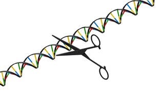 Symbolbild Schere und DNA-Strang, tags: Genveränderung, CRISPR, Genschere