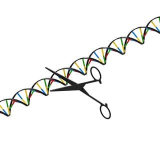 Symbolbild Schere und DNA-Strang, tags: Genveränderung, CRISPR, Genschere