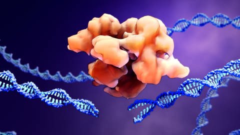 Animation von CRISPRCas und durchgeschnittenem DNA-Strang, tags: Genschere, Genveränderung, CRISPR