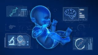 Digitale Zwillinge könnten in Zukunft bei der Behandlung von Erkrankungen helfen. Bisher gab es sie nur für Erwachsene, jetzt wurde ein digitales Abbild für Neugeborene entwickelt.