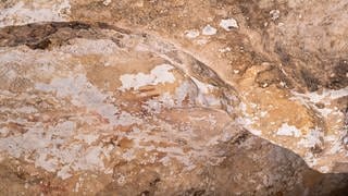 Älteste figurative Höhlenmalerei der Welt auf der indischen Insel Sulawesi entdeckt.