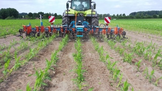 Landwirtschaft: Künstliche Intelligenz (KI) für mehr Artenvielfalt auf dem Acker  Traktor auf einem Feld
