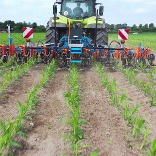 Landwirtschaft: Künstliche Intelligenz (KI) für mehr Artenvielfalt auf dem Acker  Traktor auf einem Feld