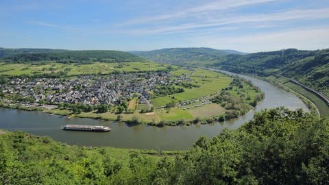 Flüsse wie die Mosel, die Saar und der Neckar leiden noch immer unter Sauerstoffmangel. Das liegt auch am Klimawandel | Mosel von oben