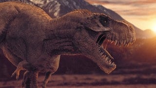 Der Tyrannosaurus Rex lebte erst 30 Millionen Jahre später als der nun entdeckte Pflanzenfresser "Fona H