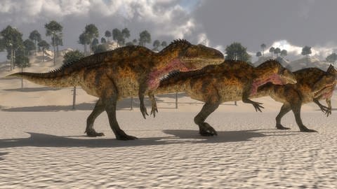 Acrocanthosaurus auf der Suche nach Beute. Einer von vielen großen Fleischfressern in der Kreidezeit