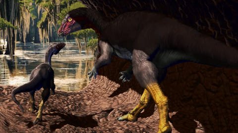 Unterirdisch waren die kleinen Dinosaurier besser vor Fressfeinden geschützt | Animation der Fona herzogae in einer Höhle