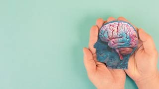 Symbolbild Gehirn Alzheimer, tags: EU-Zulassung Alzheimer-Medikament EMA