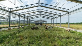 Gerüst über artenreicher Wiese im Landnutzungs-Experiment der UFZ, tags: Wiesen Klimawandel Artenreich Grünland