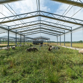 Gerüst über artenreicher Wiese im Landnutzungs-Experiment der UFZ, tags: Wiesen Klimawandel Artenreich Grünland