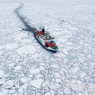 Polarstern im Eis