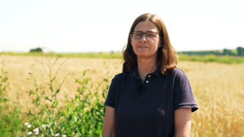 Forscherin Dr. Doris Dannenmann von der Technischen Hochschule Bingen, tags: Aussterben bedrohten Feldhamster Insekten retten