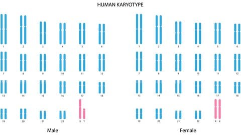 Früher galt als im Sport Mann wer XY-Chromosome aufweist und als Frau wer XX-Chromosome besitzt. Dies war jedoch deutlich zum Nachteil von intersexuellen Personen.