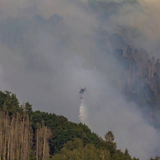 Waldbrand mit Löschflugzeug.