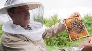 Laserphysiker Stanislav Balouchev mit seinem Bienenstock - er hat seine Leidenschaft für Laser und Physik und für die Bienen vereint.