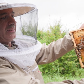 Laserphysiker Stanislav Balouchev mit seinem Bienenstock - er hat seine Leidenschaft für Laser und Physik und für die Bienen vereint.