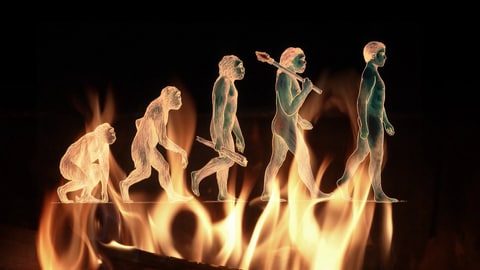 Illustration: Urmenschen und Feuer - Hat uns Menschen das Fleisch oder das Feuer zu einem Evolutionssprung verholfen?