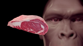 Illustration: Urmensch und rohes Fleisch - War das Essen von Fleisch der Durchbruch hin zum modernen Menschen? Neue Zahnanalysen sollen Fakten liefern.  War Fleisch wichtig für die Evolution?