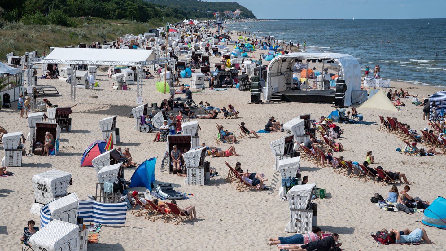 Zwei Todesfälle an der Ostsee: Wie gefährlich sind Vibrionen?