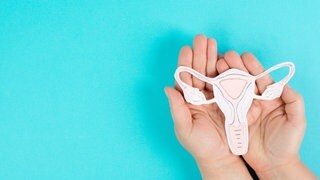 Endometriose betrifft schätzungsweise zehn bis 15 Prozent aller Frauen im gebärfähigen Alter. Bislang ist jedoch kaum etwas über die Ursachen der Krankheit bekannt und wie man sie behandeln kann.