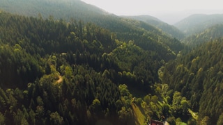 Das Black Forest Observatory in Schiltach im Schwarzwald hat Schwigungen aus Grönland gemessen.