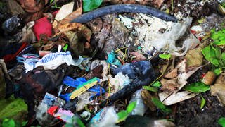 Plastiktüte wird aus dem Wasser gefischt.