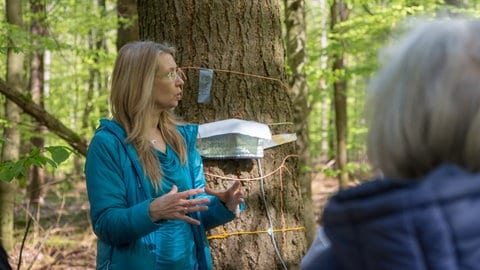 Prof. Christiane Werner ist eine der Leiterinnen von Ecosense, einem Projekt zum Klimawandel. Hier spricht sie bei einem Workshop im Wald bei Ettenheim.