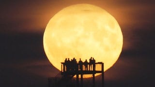 Aussicht auf den Supermond: Heute ist er zusammen mit dem Kometen Tsuchinshan-Atlas am Abendhimmel zu sehen.