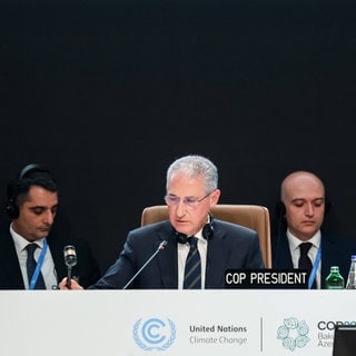 UN Klimakonferenz COP29 in Baku