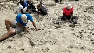 Forschungsteam in Kenia bei der Entdeckung der Fußabdrücke, tags: Frühmenschen Arten Fußabdrücke unterschiedlicher