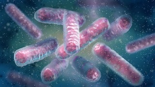 E. coli: Das vielseitigste Bakterium der Wissenschaft