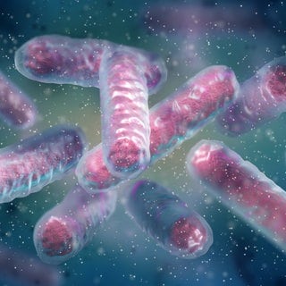 E. coli: Das vielseitigste Bakterium der Wissenschaft