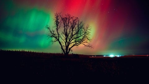 Polarlichter über einem Feld. Sie werden durch die von der Sonne generierten Sonnenwinde ausgelöst.