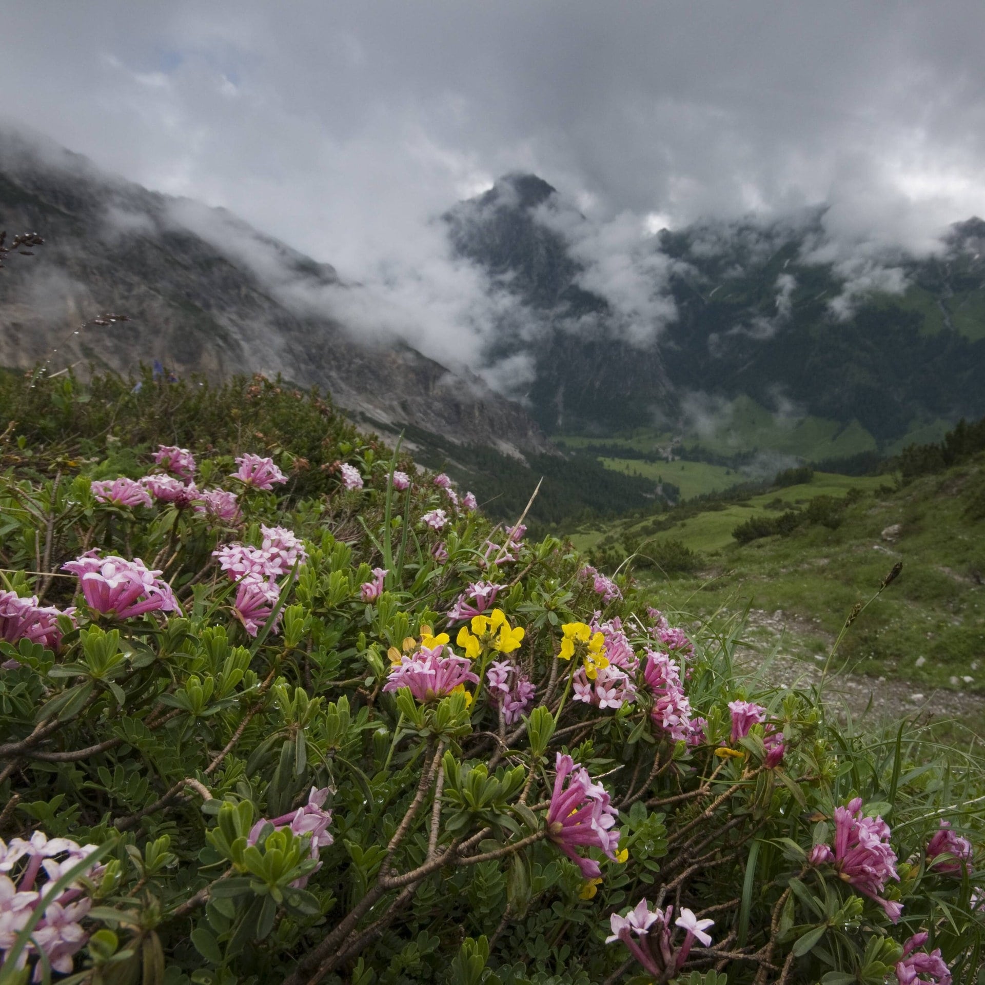 Warum nimmt die Temperatur mit der Höhe ab?