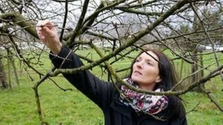Eine Frau schaut sich die Knospen eines Baumes an