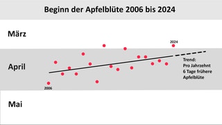 Blühbeginn der Apfelblüte in den Jahren 2006 bis 2024 mit einer Verfrühung um 6 Tage pro Jahrzehnt