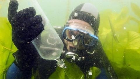Taucher füllt eine Glaskolbe unter Wasser