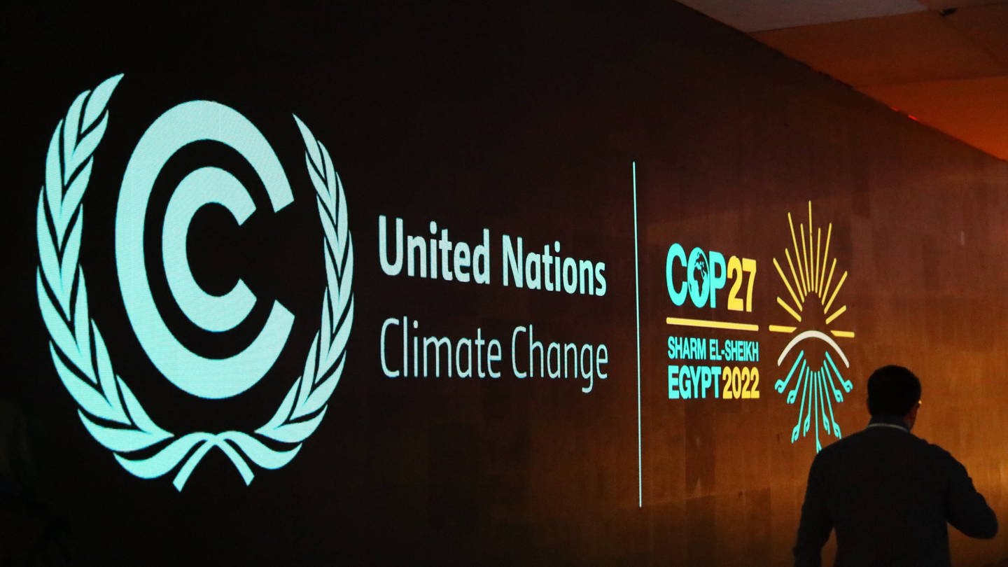 COP27