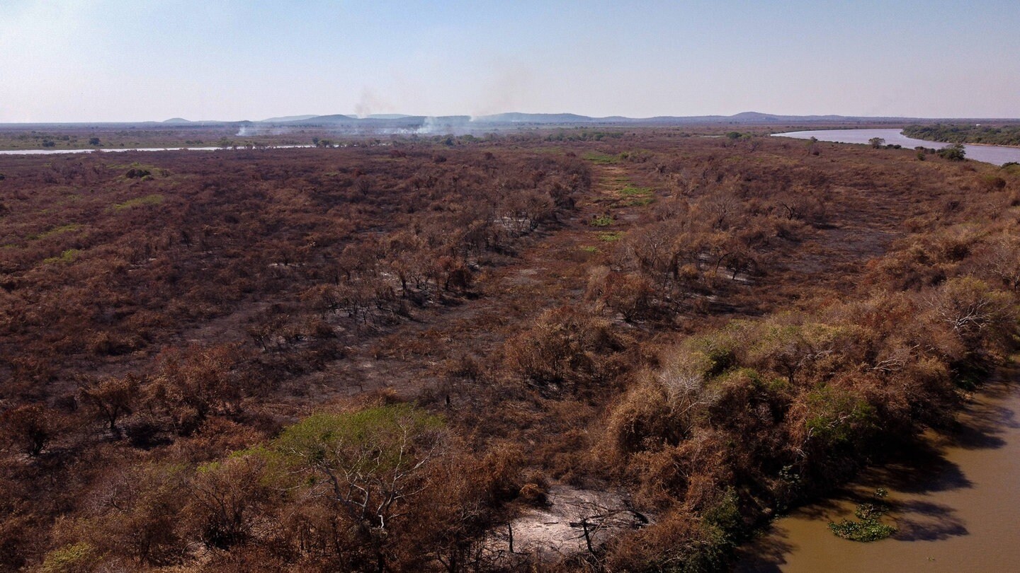 Trockenheit und Brände in Brasilien