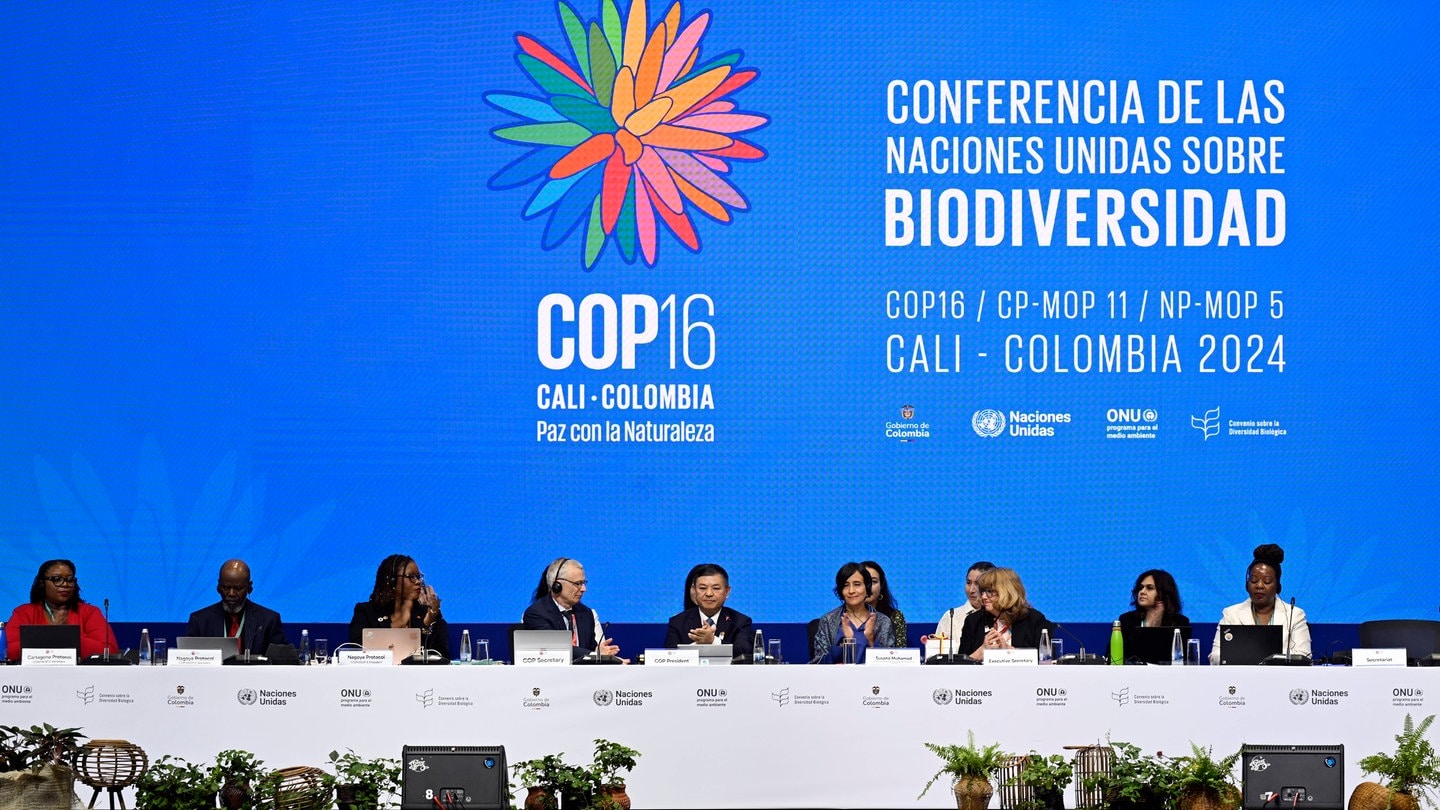 COP16