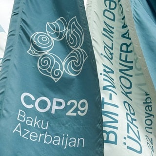 Flagge COP29